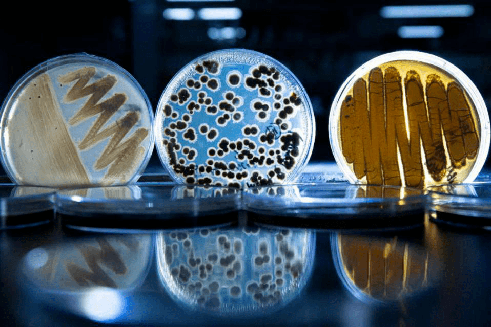 微生物无菌检测方法 微生物无菌检测标准