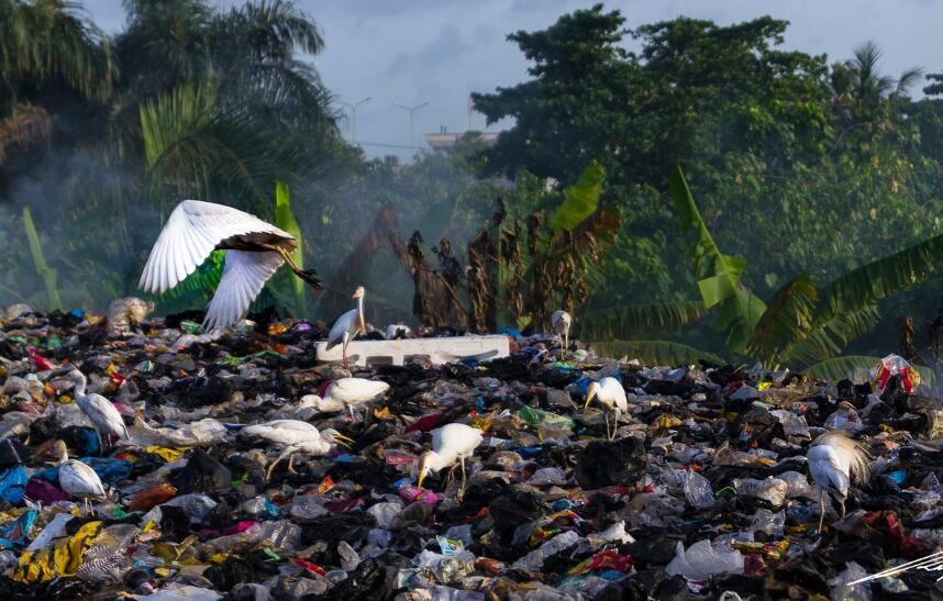 生活垃圾成分及含量 生活垃圾成分分析检测指标