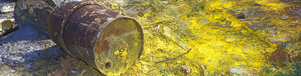 二恶英检测