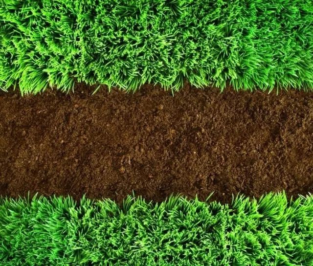 土壤有机质含量测定方法 土壤挥发性有机物测定标准