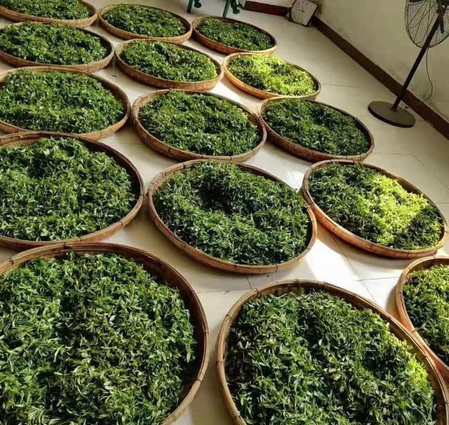 茶叶农残国标检测项目 茶叶农残检测国家标准