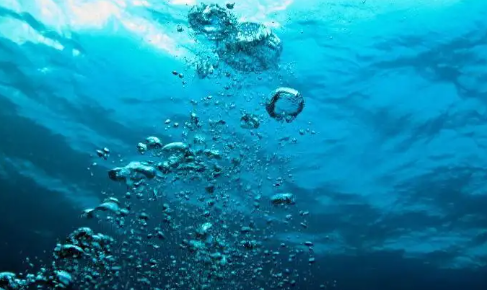 溶解氧测定