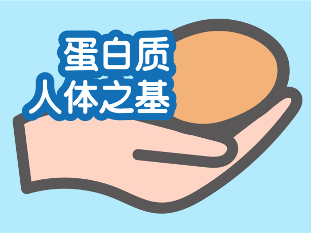 蛋白含量测定