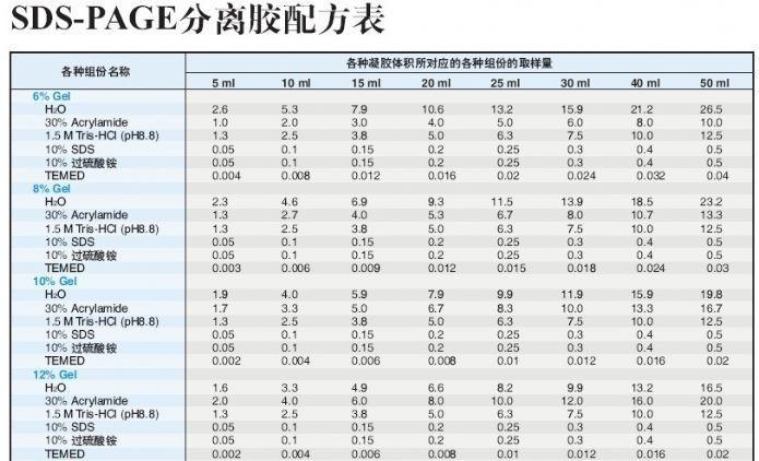 12分离胶配方分析