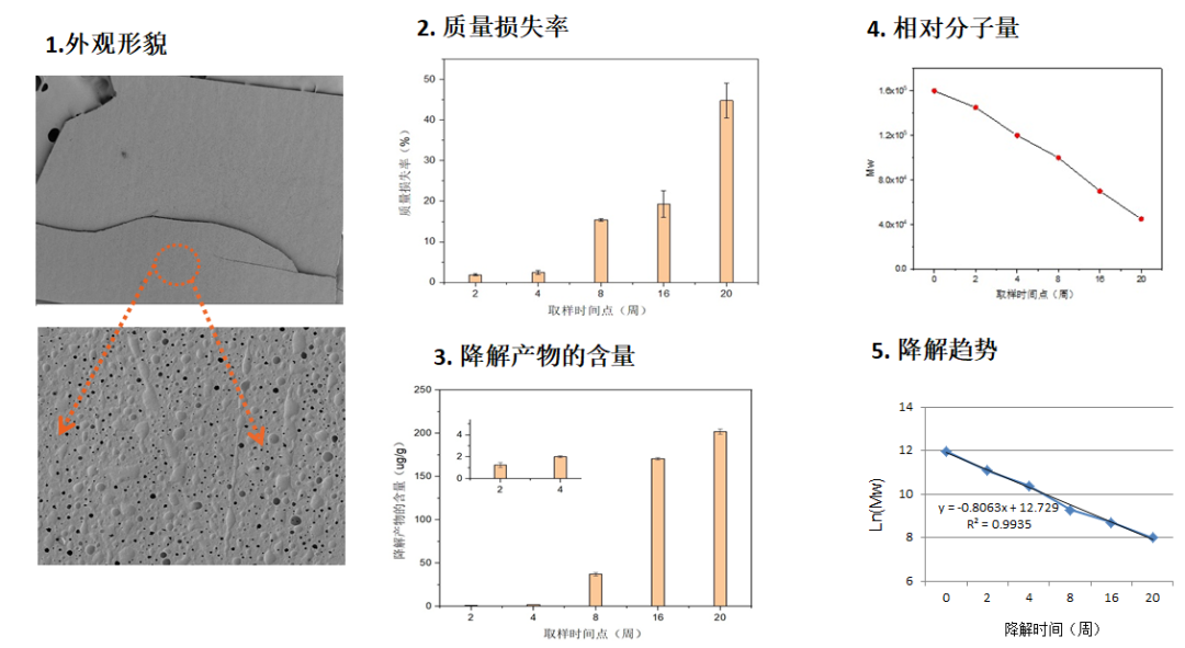 聚合物医疗器械的体外降解试验研究实例.png