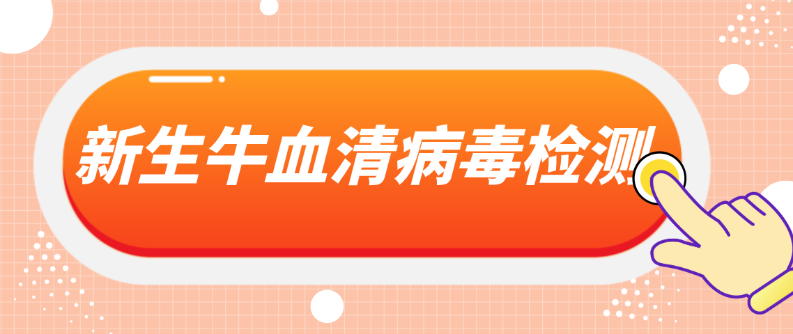 新生牛血清病毒检测