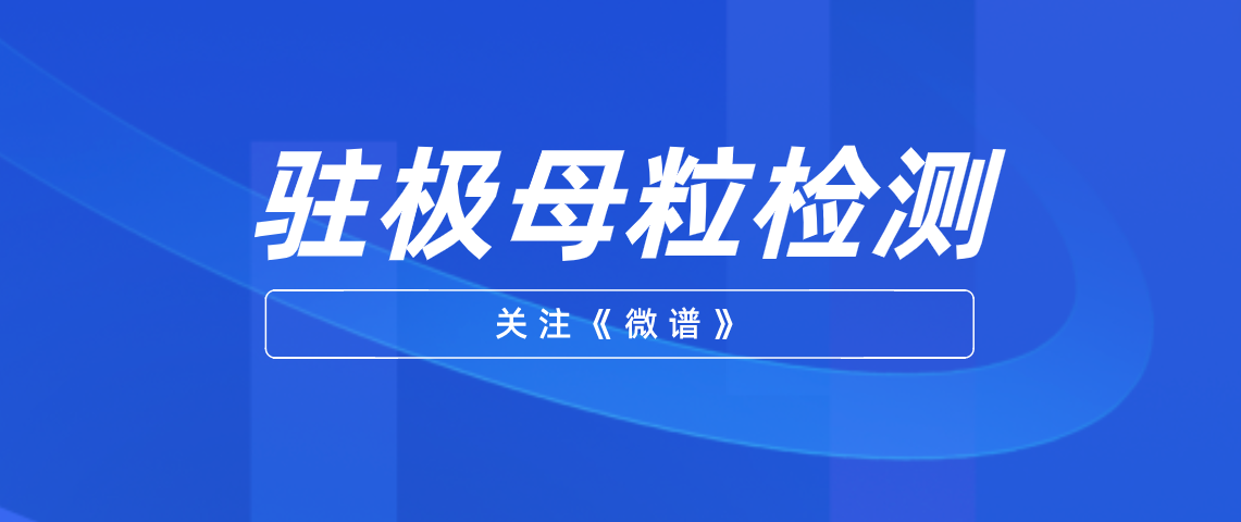 驻极母粒配方分析 驻极母粒检测标准