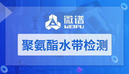 聚氨酯水带检测